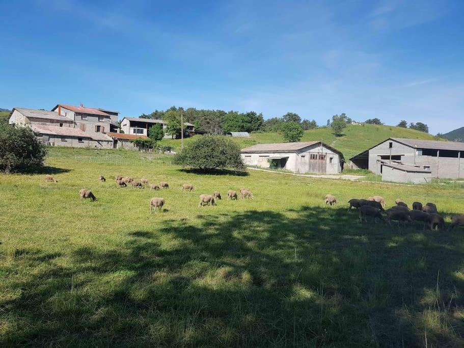 Gite Des Millets En Baronnies Rosans 외부 사진